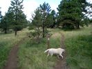 photo thumbnail #4