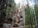 photo thumbnail #4