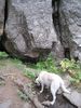 photo thumbnail #7
