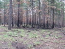 photo thumbnail #3