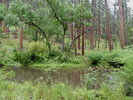 photo thumbnail #8