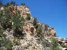 photo thumbnail #8
