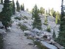 photo thumbnail #2