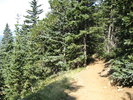 photo thumbnail #1