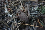 photo thumbnail #7