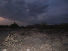 photo thumbnail #4