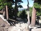 photo thumbnail #1