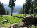 photo thumbnail #3