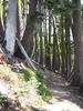 photo thumbnail #11