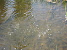 photo thumbnail #14