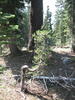 photo thumbnail #15