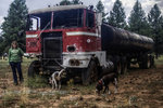 photo thumbnail #9