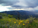 photo thumbnail #11