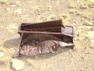 photo thumbnail #2