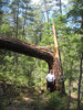 photo thumbnail #13