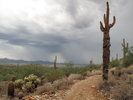 photo thumbnail #7