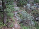 photo thumbnail #1