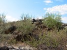 photo thumbnail #3
