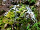 photo thumbnail #15