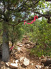photo thumbnail #5