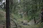 photo thumbnail #3