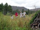 photo thumbnail #8