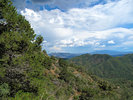 photo thumbnail #11