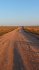 photo thumbnail #2