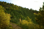 photo thumbnail #9