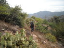 photo thumbnail #3