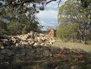 photo thumbnail #10