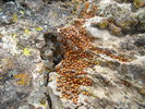 photo thumbnail #14