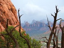 photo thumbnail #9