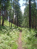photo thumbnail #7
