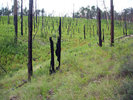 photo thumbnail #15
