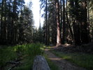 photo thumbnail #10