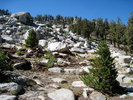 photo thumbnail #7