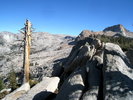 photo thumbnail #13