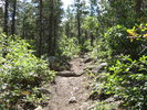 photo thumbnail #1