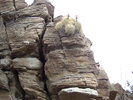 photo thumbnail #8