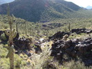 photo thumbnail #1
