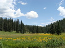 photo thumbnail #2