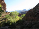 photo thumbnail #5