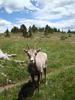 photo thumbnail #9