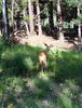 photo thumbnail #10