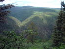 photo thumbnail #12
