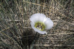 photo thumbnail #11