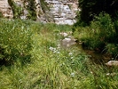 photo thumbnail #11