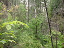 photo thumbnail #13