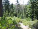 photo thumbnail #1